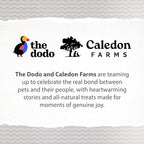 Caledon Farms The Dodo Crunchy Biscuits - Sweet Potato with Peanut Butter 19.5oz, Dog Treats