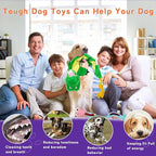 Crinkle Dog Toys Squeaky Plush No Stuffing Cute Puppy Stuffless Tough Rop Pull Toy, Fun Dog Stuffed Animals Durable Chew Set for Small Medium Large Pup (Large, Snake+Alligators)