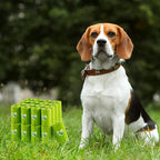Pkpoo 100% Compostable Dog Poop Bags, Extra Wide, Vegetable-Based Large Poop Bags for Dogs, Biodegradable Waste Bags for Poo, Cat Litter, Diaper Sacks, Unscented, 120 Counts