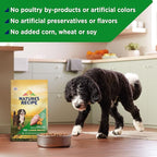 Nature’s Recipe Grain Free Large Breed Chicken, Sweet Potato & Pumpkin Recipe Dry Dog Food, 24 lb. Bag