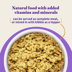 Halo Holistic Vegan Wet Dog Food, Plant-Based Recipe, Canned Dog Food, Complete Digestive Health, Adult Dogs, 5.5 Oz Can (Pack of 12)