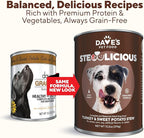 Dave's Pet Food Stewlicoius Grain Free Wet Dog Food (Turkey & Sweet Potato in Gravy), Made in USA Naturally Healthy Canned, Gluten Free Topper, 13.2 oz (12 Pack)