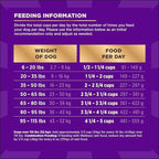 Wellness CORE+ Dry Dog Food with Freeze Dried Pieces, Wholesome Grains, High Protein, Natural, Beef & Barley Recipe, (18-Pound Bag)