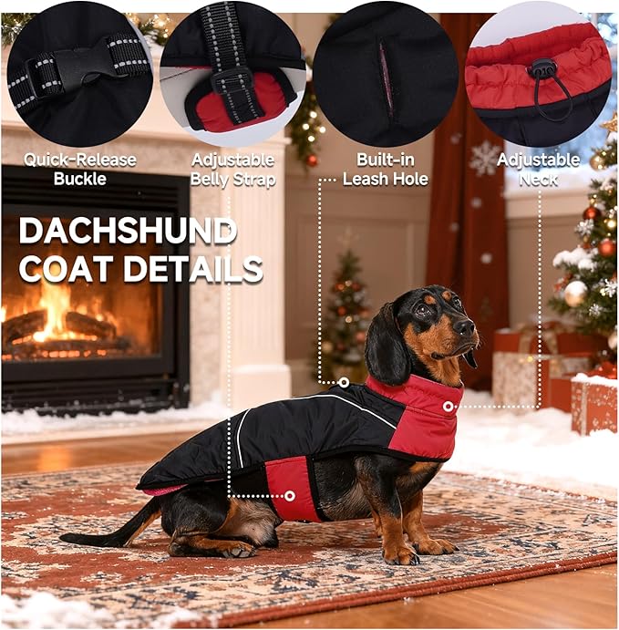 DORA BRIDAL Dachshund Coat, Fleece Lined Dog Winter Coat, Warm Dog Coats with Reflective Strips, Adjustable Waterproof Pet Jacket Clothes, S