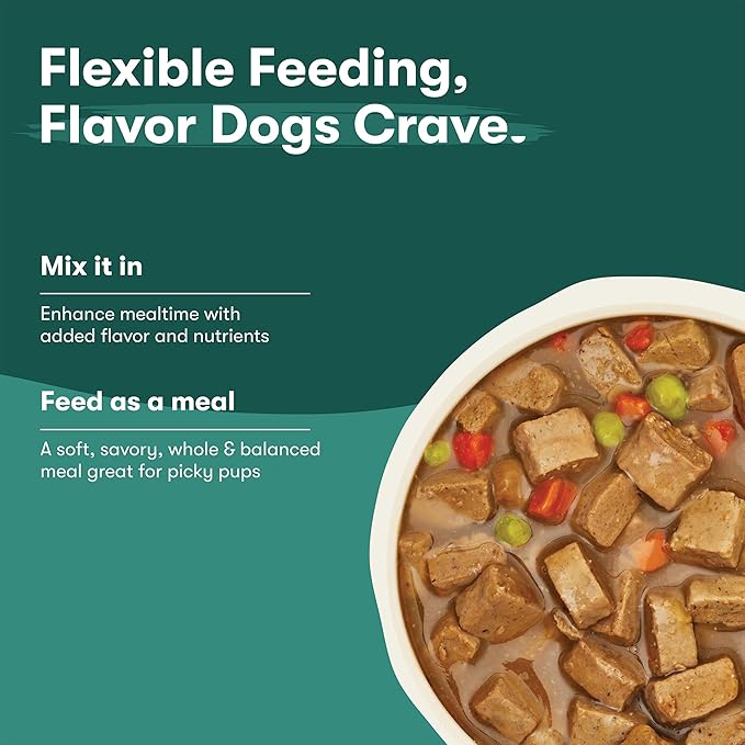 Jinx Bone Broth Stew for Dogs, Variety Pack - Chicken & Salmon Recipes - Grain-Free Wet Dog Food & Topper for Picky Eaters - Promotes Lean Muscle Growth, Healthy Coat & Digestion - 13 Oz, 12 Pack