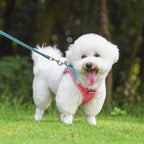 AIITLE No Pull Dog Harness and Leash Set, Step in Adjustable Dog Harness with Padded Vest for All Weather, Dog Leash with Soft Padded Handle, Easy to Put on Small and Medium Dogs Hot Pink S