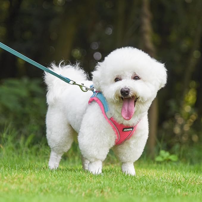 AIITLE Step in Dog Harness and Leash Set - Summer No Pull Escape Proof Vest Harnesses with Soft Mesh and Reflective Bands, Adjustable Pet Outdoor Harnesses for Small and Medium Dogs Hot Pink M