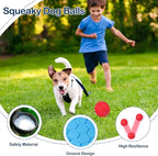 2 Pack Indestructible Squeaky Dog Balls for Aggressive Chewers, Interactive Dog Toys for Teething, Relieving Anxiety. Chew Toy for Large, Medium Breeds, Outdoor Rubber Balls.