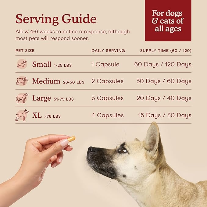 Fera Pets Cardiac Support - Cat & Dog Heart Supplement with Taurine, L-Carnitine, & CoQ10 - Promotes Normal Circulation and Heartbeat - 60 Capsules