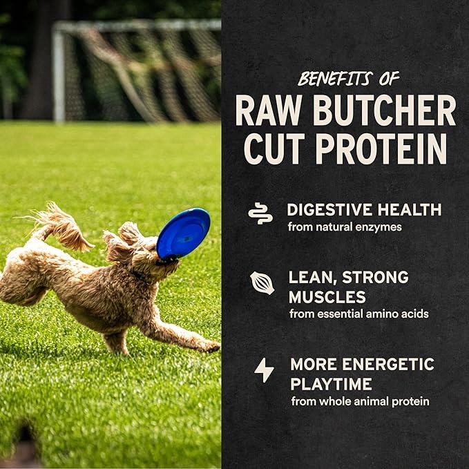 Vital Essentials Beef Bites Dog Treats, 2.5 oz | Freeze-Dried Raw | Single Protein | Premium Quality High Protein Training Treats | Grain Free, Gluten Free, Filler Free