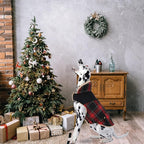 Winter Coat for Small and Medium Dogs, Puppy Plaid Jacket, Cotton Coat for Cold Weather, Windproof Warm Dog Garments, Pet Thickened Outfits Indoor Outdoor, Red L