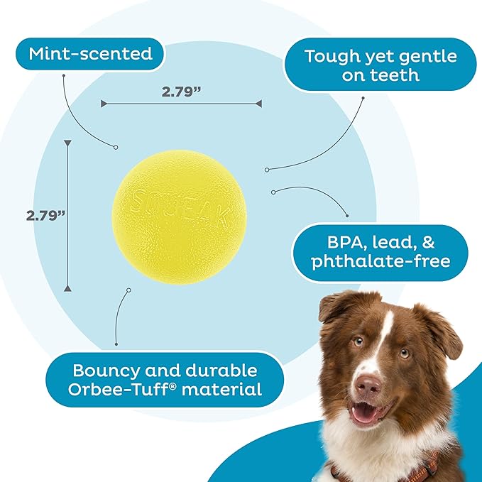 Outward Hound by Planet Dog Squeak Ball Bouncy Fetch Dog Toy, Yellow