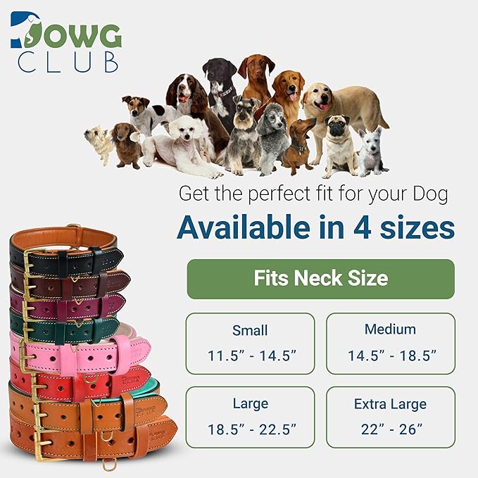 Genuine Leather Dog Collar – Full Grain, Breathable Inner Padding, Padded Buckle – Heavy Duty, Adjustable for Small, Medium, Large & XL Breeds | (Dark Brown, L (Fit Neck Size 18.5"-22.5"))