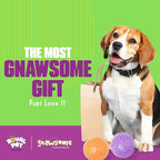 Gnawsome Medium Squeaker Ball Dog Toy, Medium 3.5", Colors will vary, All Breed Sizes