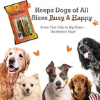 Advance Pet Products 12 Inch Bully Sticks (Pack of 5) - 100% Beef, Odor Free Dog Chews for Aggressive Chewers - Long Lasting, Gluten-Free, Easy to Digest, High Protein - for Small, Medium, Large Dogs