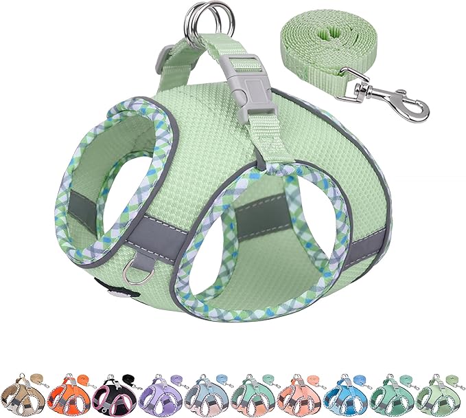 AIITLE XXS Dog Harness & Leash Set - Breathable Reflective No-Choke Small Dog Harness for Teacup Puppies, Indoor/Outdoor Use - Boston Terrier, Maltese, Chihuahua (Sage, XXS)