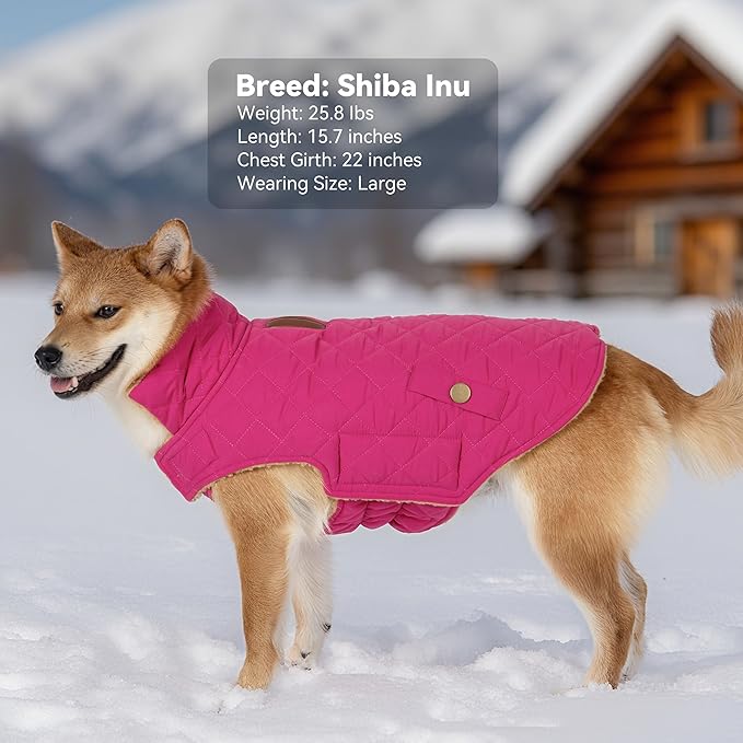 Dog Coat, Warm Winter Dog Waterproof Jacket for Medium Dogs, Fleece Lined Adjustable Dogs Coats Cold Weather Windproof Doggie Snowsuit with Leash Hole, Rose Red X-Large