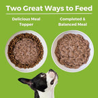 KOHA Limited Ingredient Diet Duck Entrée for Dogs - Sensitive Stomach Canned Dog Food - High Protein, No Fillers Pate Dog Food - 13 oz Pack of 12