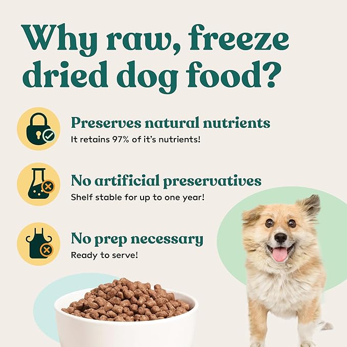 Little Hunter Freeze Dried Chicken Dog Food Fresh & Raw | Organic Fruits & Veggies, Picky Eater-Approved Limited Ingredient | High Protein, Small Batch, Grain Free, 15 oz