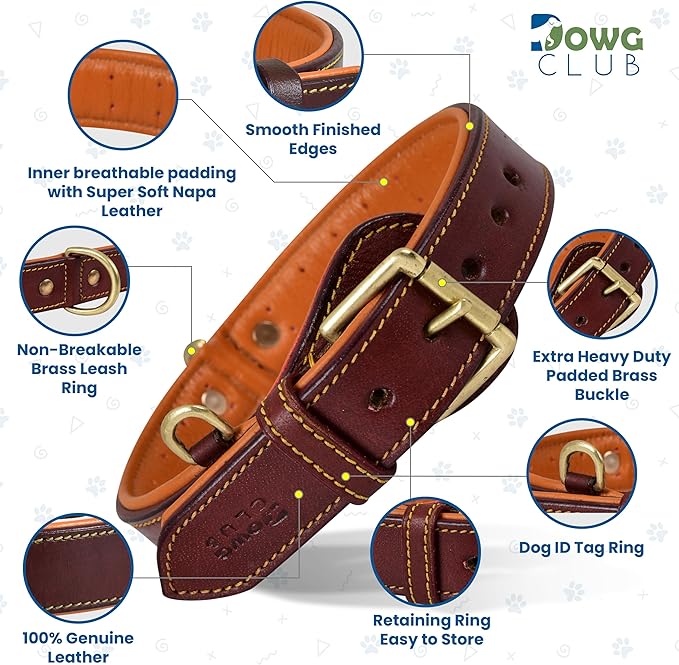Genuine Leather Dog Collar – Full Grain, Breathable Inner Padding, Padded Buckle – Heavy Duty, Adjustable for Small, Medium, Large & XL Breeds (Dark Brown, M (Fit Neck Size 14.5"-18.5"))