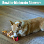 SPOT Skinneeez Chicken 13 Inch Stuffing-Free Plush Squeaky Dog Toy – Soft Interactive Chew Toy for Small and Medium Dogs – Mess-Free Play for Light & Moderate Chewers