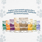 Canine Caviar - Leaping Spirit: Venison & Pearl Millet Alkaline Dry Dog Food, Limited Ingredients, Gluten-Free, Based on Science & Research, Veterinary Alternative Diet (22 Pound Bag)
