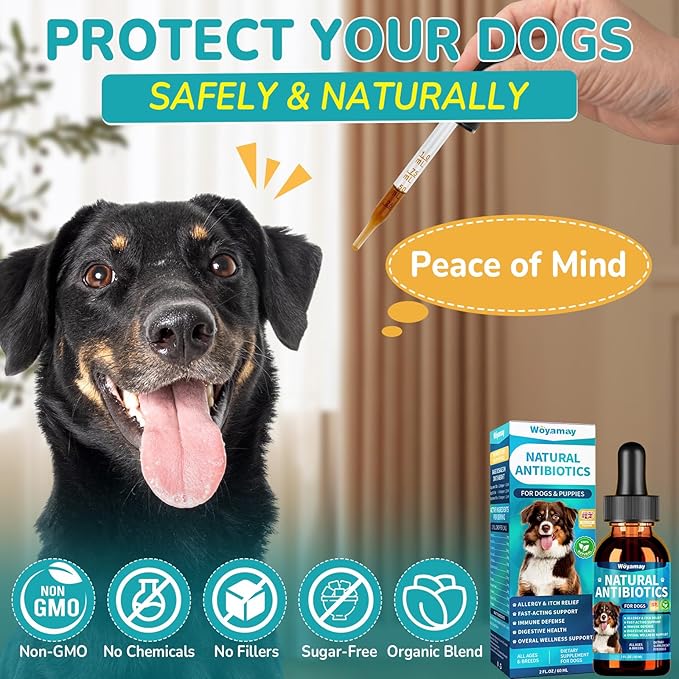Antibiotics for Dogs | Natural Dog Antibiotics for Allergy Relief, Itch Relief, Coughs, Skin Health, Breath Treatment, Digestion | Herbal Supplement to Care for Ears, Eyes & Coat, 2 Fl Oz