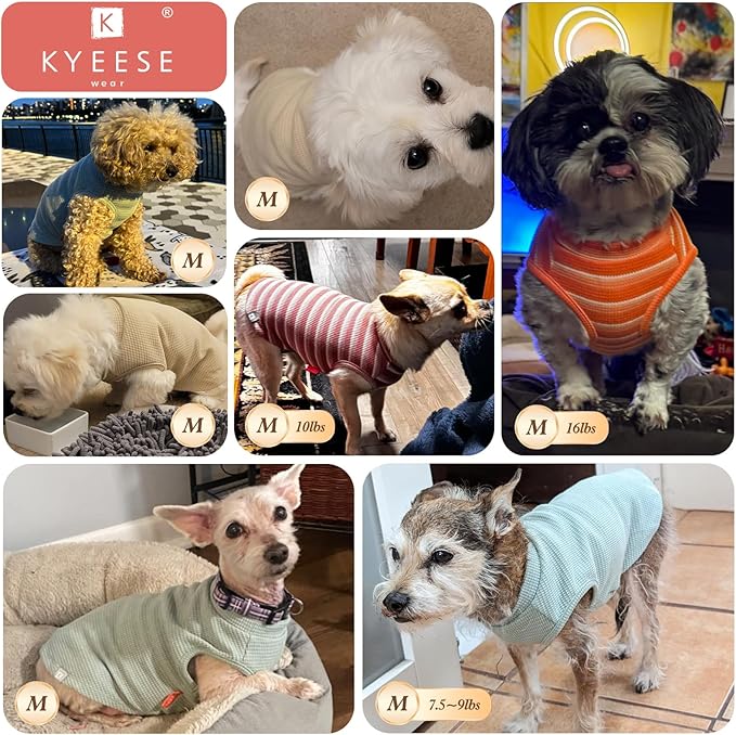 KYEESE 2Pack Dog Shirts Waffle for Small Dogs Stretchy T-Shirts Lightweight Tank Top Sleeveless Vest Breathable Cat Tee, Medium, Blue+Grey