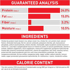 Royal Canin Size Health Nutrition Large Adult Dry Dog Food, 4 lb Bag