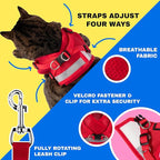 Travel Cat Harness and Leash Set - Adjustable Fit Mesh Cat Harness and Reflective Strap - Comfort Escape Proof Harness for Cats, Kitten for Outdoor Walking, Hiking (Large, Red)