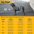 Huntboo Escape Proof Dog Harness, No Pull Reflective Harness with Lift Handle,Adjustable Pet Vest with Front and Back Leash Clips for Small Medium Large Dogs Walking Hiking Training (Sea Blue,L)