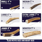 Devil Dog Pet Co. Elk Antlers for Dogs, Small 4"+, 2 Pack, Grade A Long Lasting Chew for Aggressive Chewers, Premium USA Naturally Shed Antler – Healthy, No Odor, Durable Dog Chew