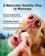 Freeze Dried Chicken Cats & Dogs Treats, 17.63 oz(1.1LB), High Protein Single Ingredient - No Additives | Grain Free | Training & Nutrition Supplements, Sealed Box