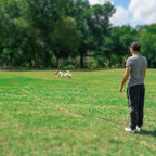 Rypet Reflective Cat Long Leash - 15 FT Escape Proof Walking Leads Yard Long Lead Durable Safe Personalized Extender Leash Traning Play Outdoor for Kitten, Puppy, Rabbit and Small Animals