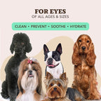 Natural Dog Snout Wipes, 50 Count - Snout Dog Wipes for Cleaning and Soothing, Natural, Non-Toxic Dog Care Products, Kukui Oil Infused, Snout Soother Wipes, Nourishing and Moisturizing Wipes for Dogs