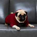 Tuff Pupper Dog Hoodie | Premium Quality 100% Organic Cotton | Ultra Soft Interior for Superior Comfort | Elastic Cuffs & Drawstring for Warmth | Stretch Fit Suitable for All Breeds (Red, M)