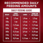 Purina ONE Wet Dog Food True Instinct Classic Ground Grain-Free Formula With Real Beef and Bison High Protein Dog Food - (Pack of 12) 13 oz. Cans