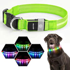 LED Dog Collar, Light Up Dog Collar, USB Rechargeable - Brightest Dog Lights for Night Walking, 6 Light Modes, Adjustable for Dog Safety(Small, Neon Green)