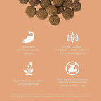Go! Solutions Digestion + Gut Health, Dry Dog Food, Salmon Recipe with Ancient Grains, 3.5 lb Bag