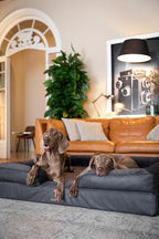 NOAH & PAW Giant Dog Bed XXL, 55x45x11 Inch, Orthopedic Dog Beds, Eggshell Memory Foam Infused with Cooling Gel, Inner Cover, Waterproof, Machine Washable (Faux Leather Sofa Collection)