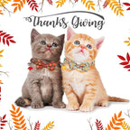 ADOGGYGO 2 Pack Fall Cat Collar with Removable Bow Bell, Brown Green, Halloween Thanksgiving Fall Collars for Cat Kitten