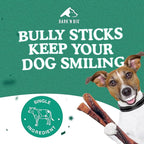BARK'N BIG 12 Inch Odor Free Bully Sticks for Dogs Made in USA - Single Ingredient Dog Chew - Premium Pizzle Sticks - Beef Pizzles for Large Breeds - 8 Count