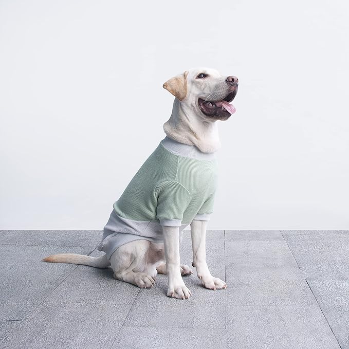 Extra Large Dog Sweaters Warm Clothes Pullover Sweatshirts for Labrador Rottweiler Great Dane, Green Grey, 3X-Large