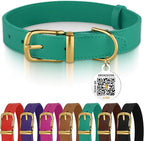 BRONZEDOG Leather Dog Collar with QR ID Tag Basic Pet Collars for Small Mini Dogs Cats Puppies (7-9 Inch (Pack of 1), Green & Gold Buckle)