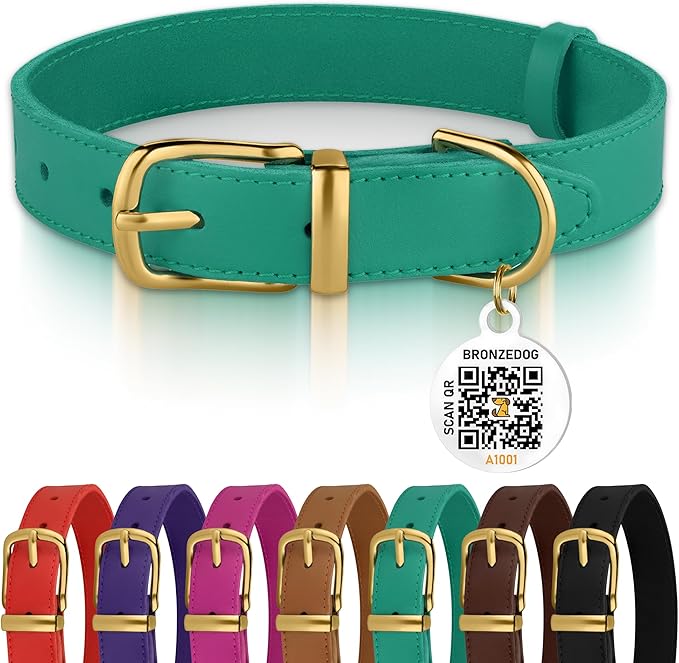 BRONZEDOG Leather Dog Collar with Metal Buckle Durable Basic Pet Collars for Small Medium Large Dogs (19-21 Inch (Pack of 1), Green & Gold Buckle)