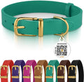 BRONZEDOG Leather Dog Collar with Metal Buckle Durable Basic Pet Collars for Small Medium Large Dogs (13-16 Inch (Pack of 1), Green & Gold Buckle)