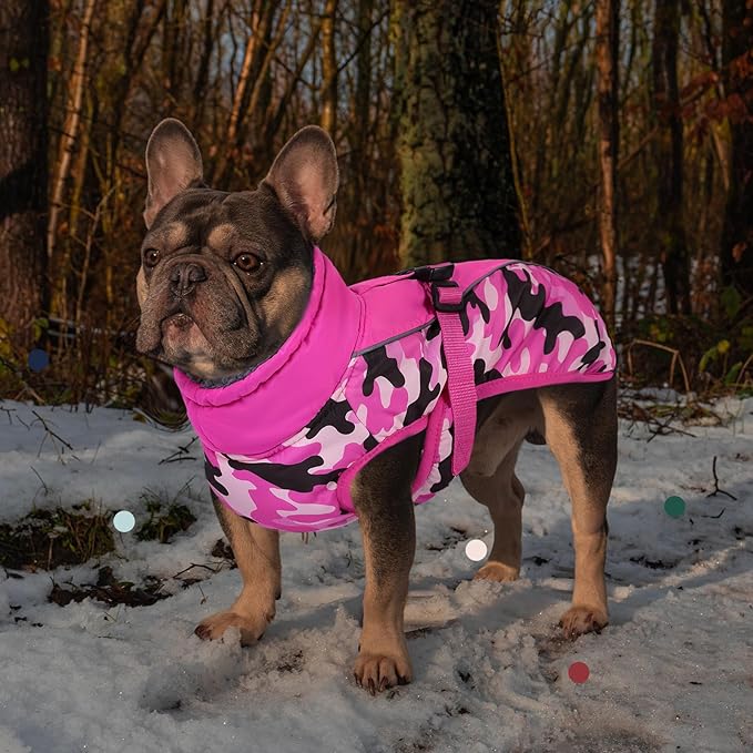 IECOii Extra Warm Dog Coat - Reflective Adjustable Dog Jacket with Buckle Fleece Turtleneck for Cold Weather - Soft Winter Coat for Small, Medium, Extra Large Dogs