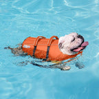 Outward Hound Granby Splash Dog Life Jacket, High-Buoyancy Dog Life Vest for Swimming, Boating, and Water Safety, XS, Orange