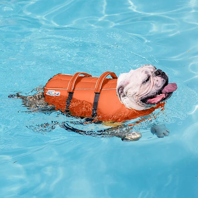 Outward Hound Granby Splash Dog Life Jacket, High-Buoyancy Dog Life Vest for Swimming, Boating, and Water Safety, Medium, Orange