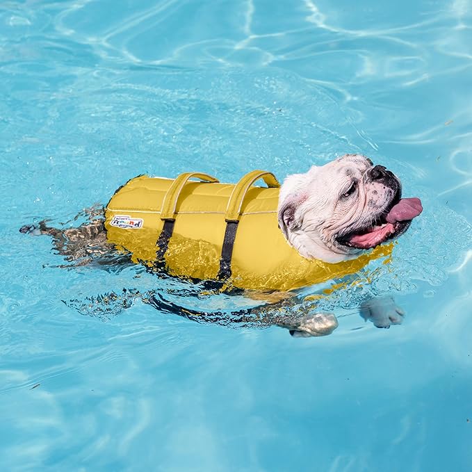 Outward Hound Granby Splash Dog Life Jacket, High-Buoyancy Dog Life Vest for Swimming, Boating, and Water Safety, XL, Yellow